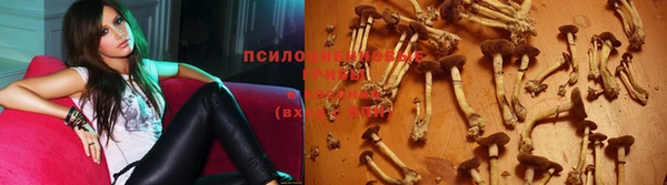 спиды Арсеньев