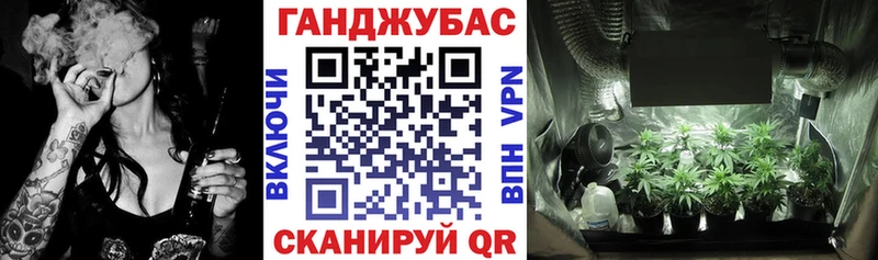 Конопля гибрид  Горняк 